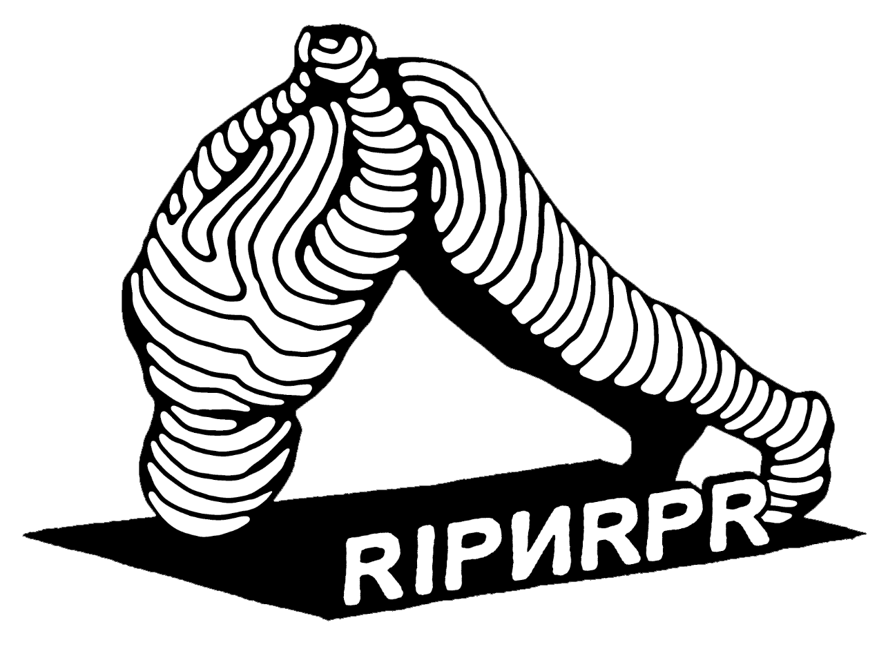 RIP & REPAIR – RIPNRPR